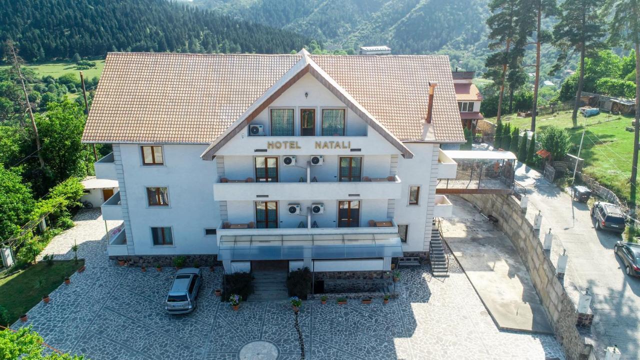 Natali Hotel Borjomi Luaran gambar