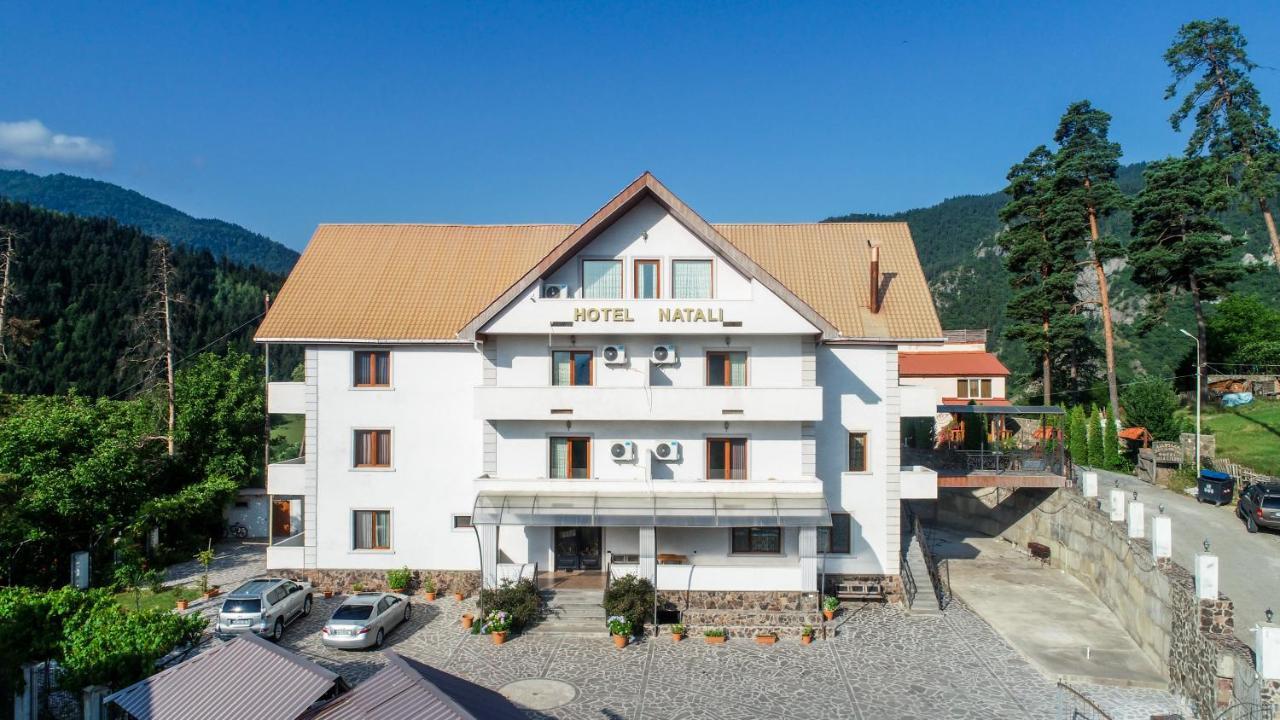 Natali Hotel Borjomi Luaran gambar