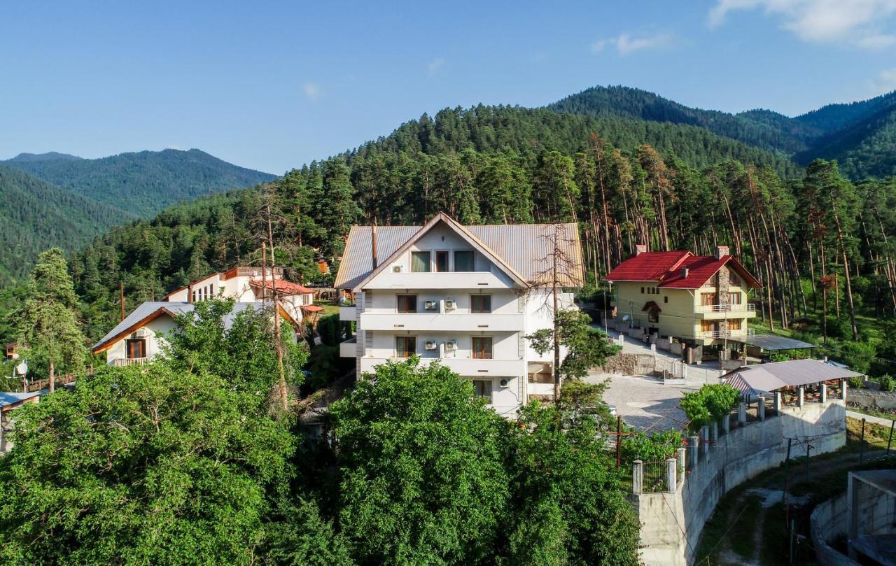 Natali Hotel Borjomi Luaran gambar