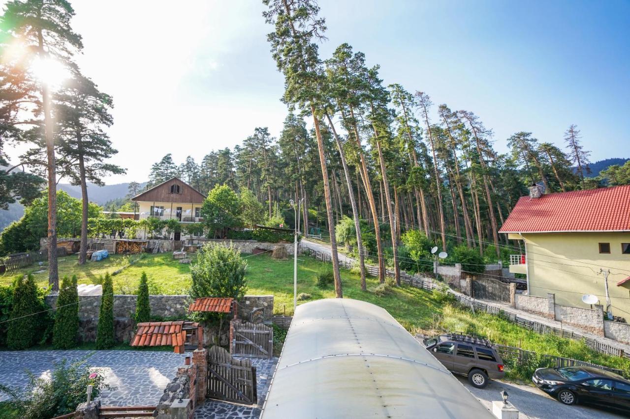 Natali Hotel Borjomi Luaran gambar