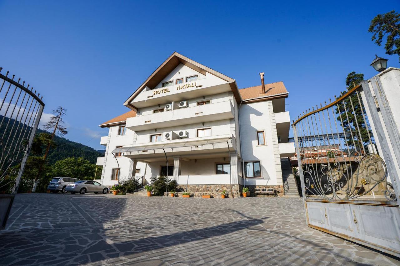 Natali Hotel Borjomi Luaran gambar