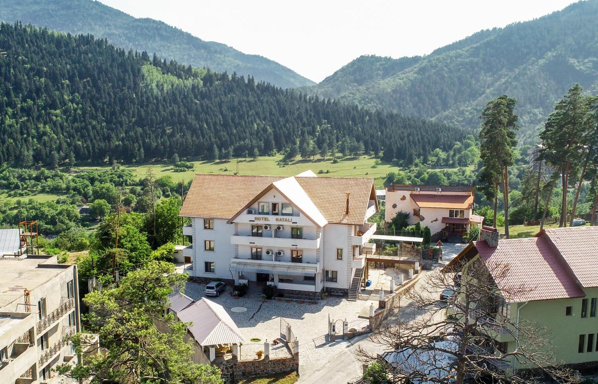 Natali Hotel Borjomi Luaran gambar