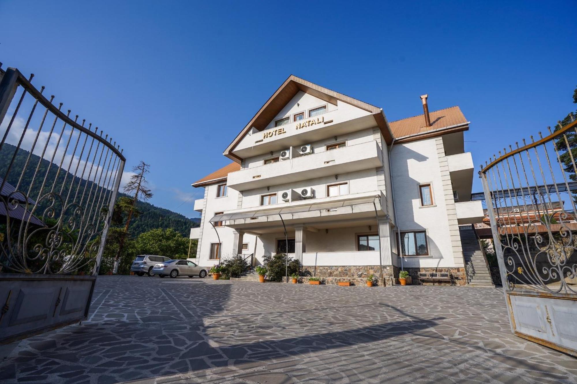 Natali Hotel Borjomi Luaran gambar