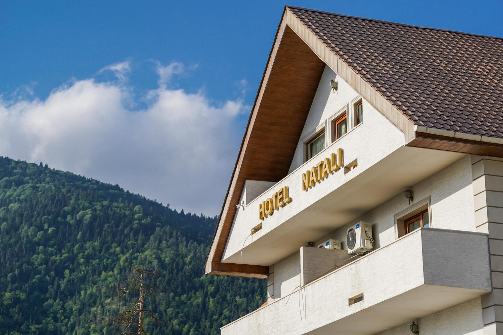 Natali Hotel Borjomi Luaran gambar